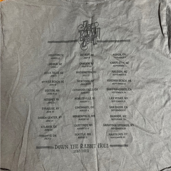 Zac Brown Band Down The Rabbit Hole 2018 Tour Cut Off Concert Tee Size Medium - Picture 3 of 5
